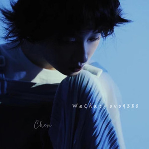 夜先锋影音资源
