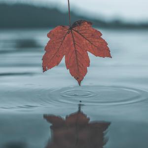 夜先锋影音资源
